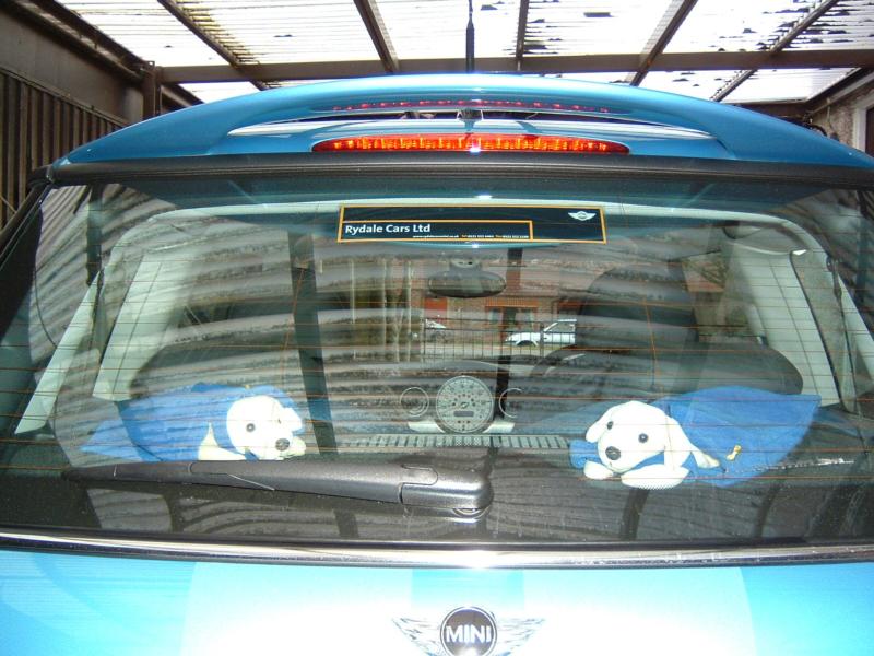 03-02-23_37 - MINI Rear.JPG